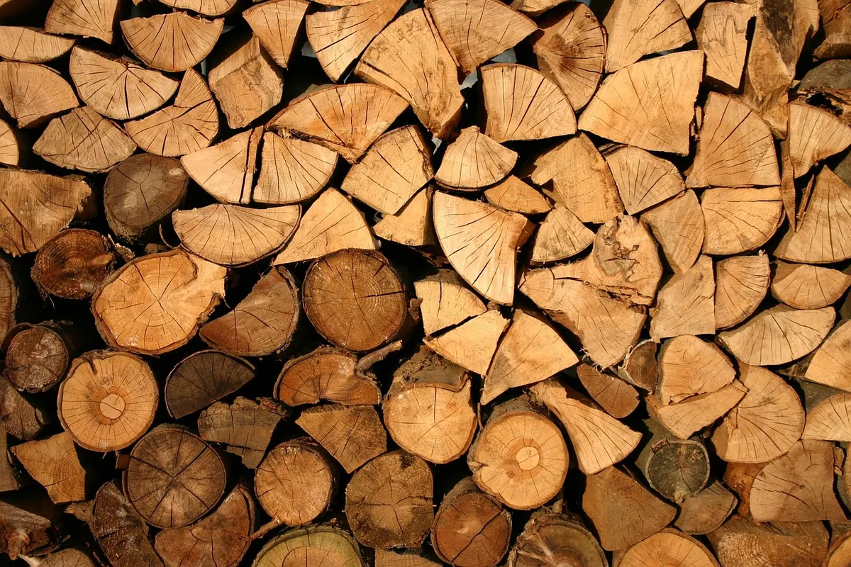 How to Make a Log Pile for Stag Beetles in Your Garden